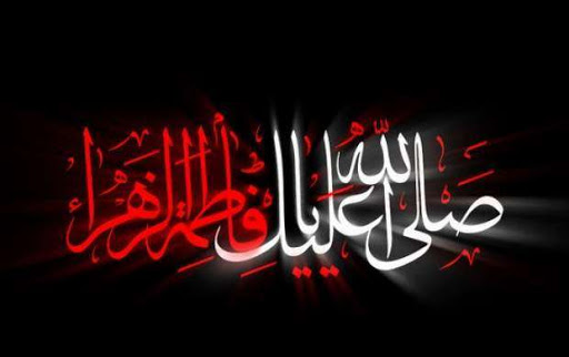 مهدی صدقی مرو زهرا ببین غریبم